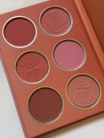 پالت رژگونه هلویی شیگلم - Image 3