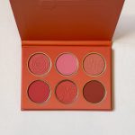 پالت رژگونه هلویی شیگلم